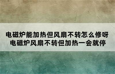 电磁炉能加热但风扇不转怎么修呀 电磁炉风扇不转但加热一会就停